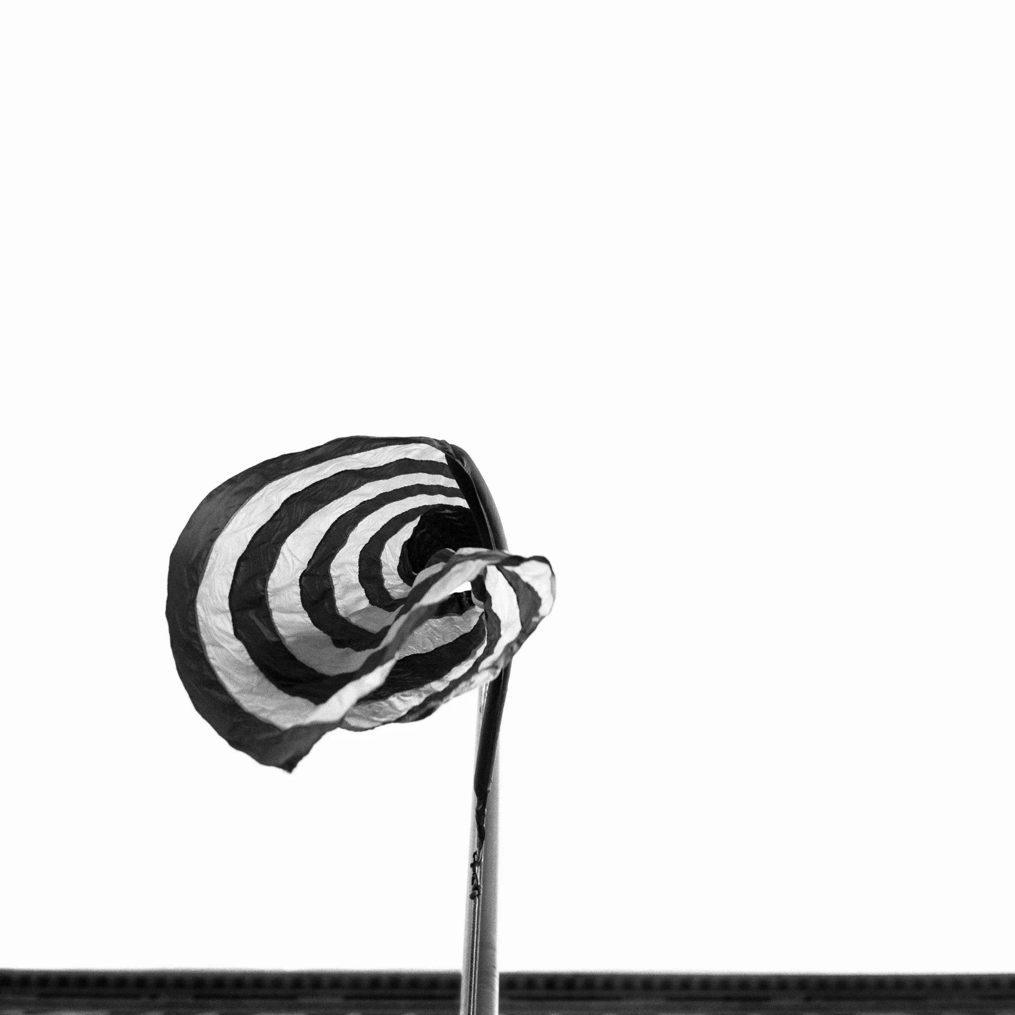 Amadeo Lasansky - Twist - Flag Series