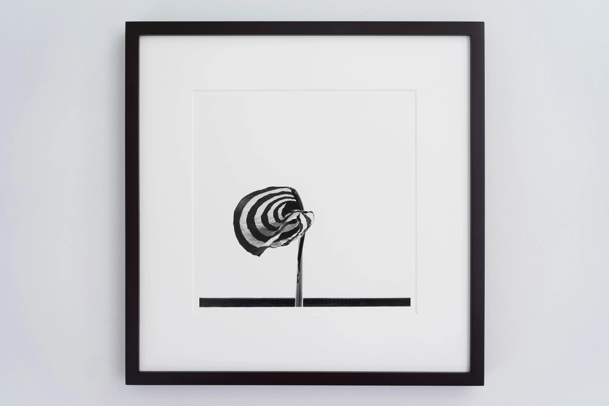 Amadeo Lasansky - Twist - Flag Series