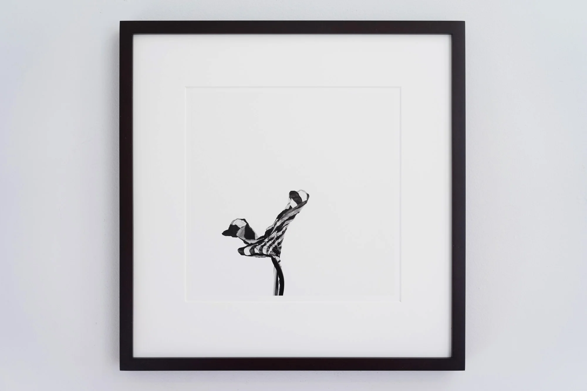 Amadeo Lasansky - Bird - Flag Series