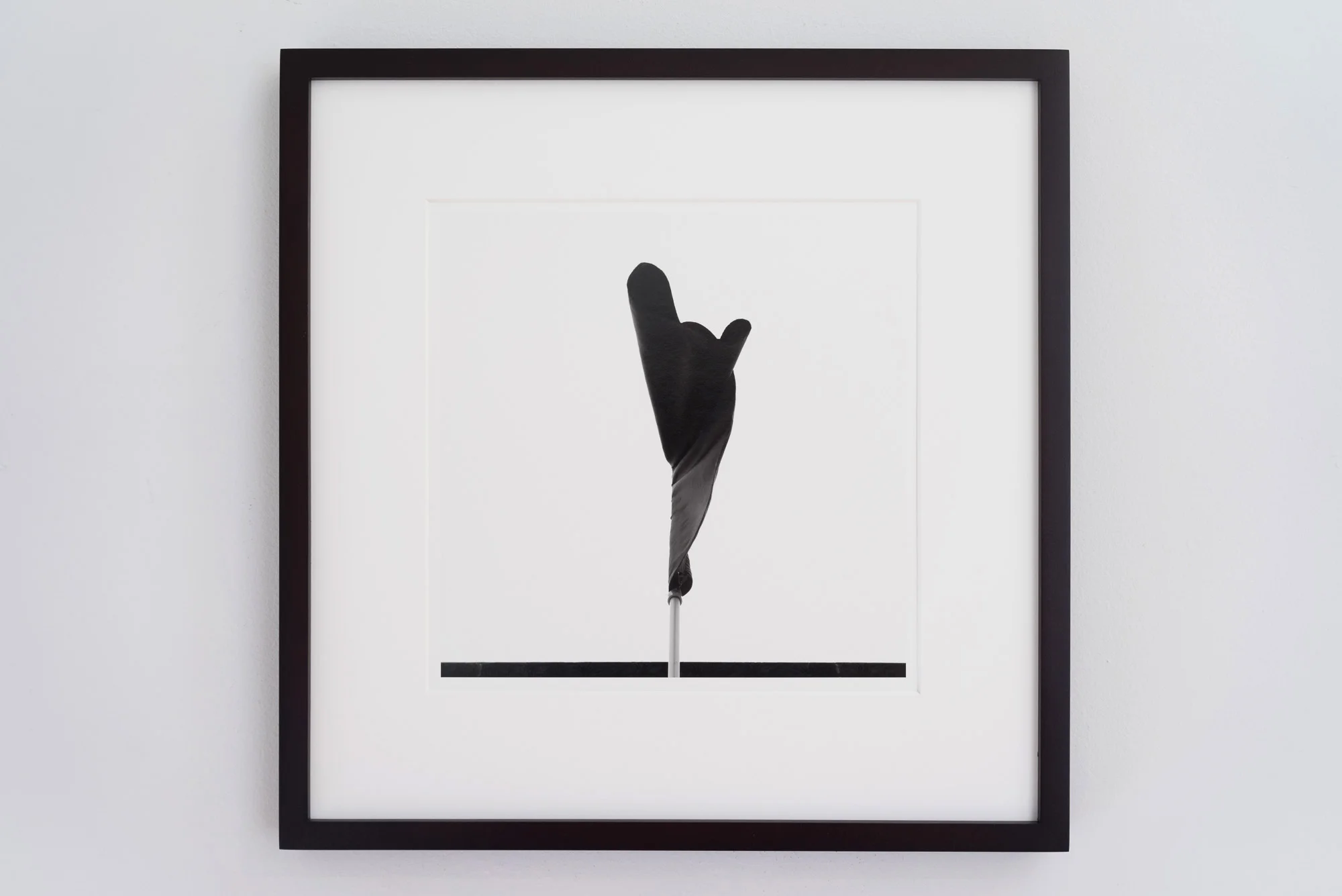 Amadeo Lasansky - Hang Loose - Flag Series