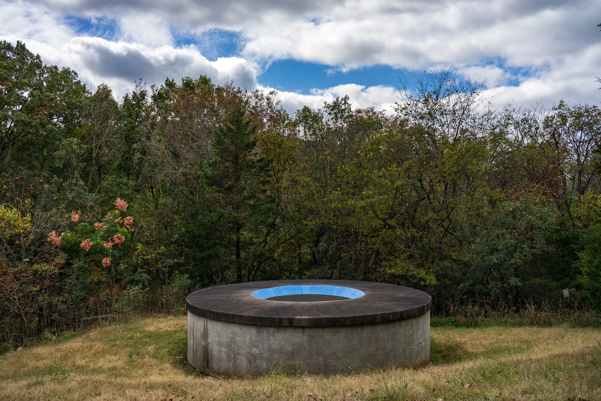 Amadeo Lasansky - A more-than-human world Nº 1, Cheekwood