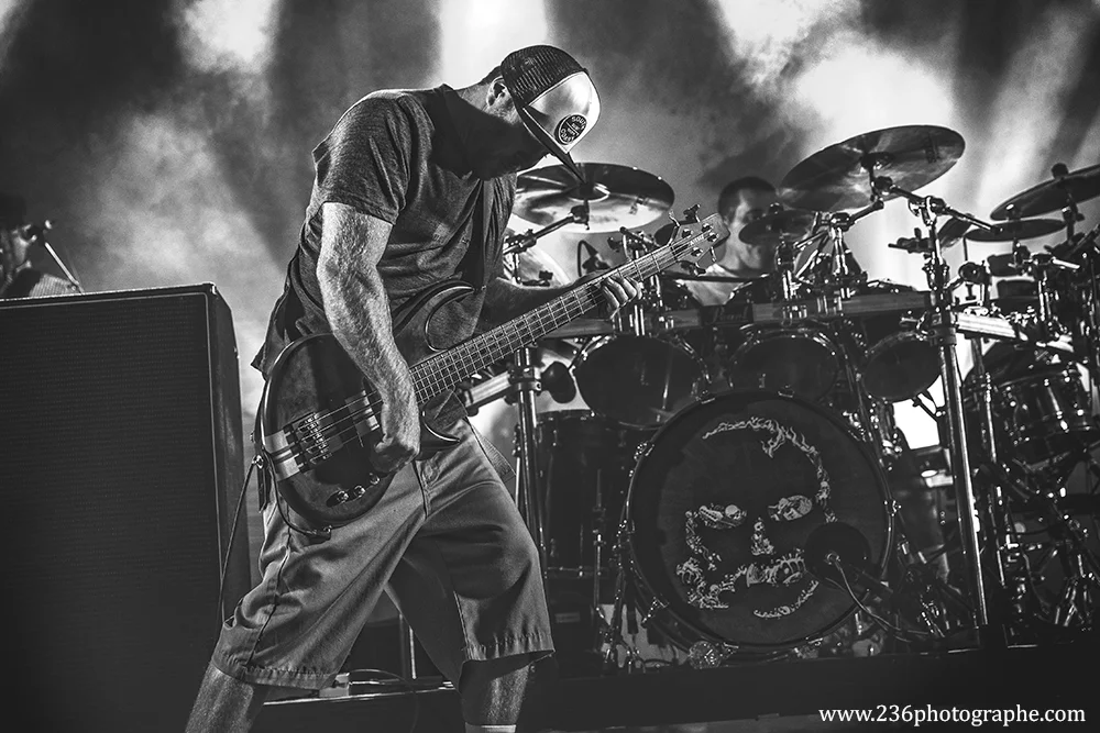SlightlyStoopid_2017_BenGriewing--5.jpg