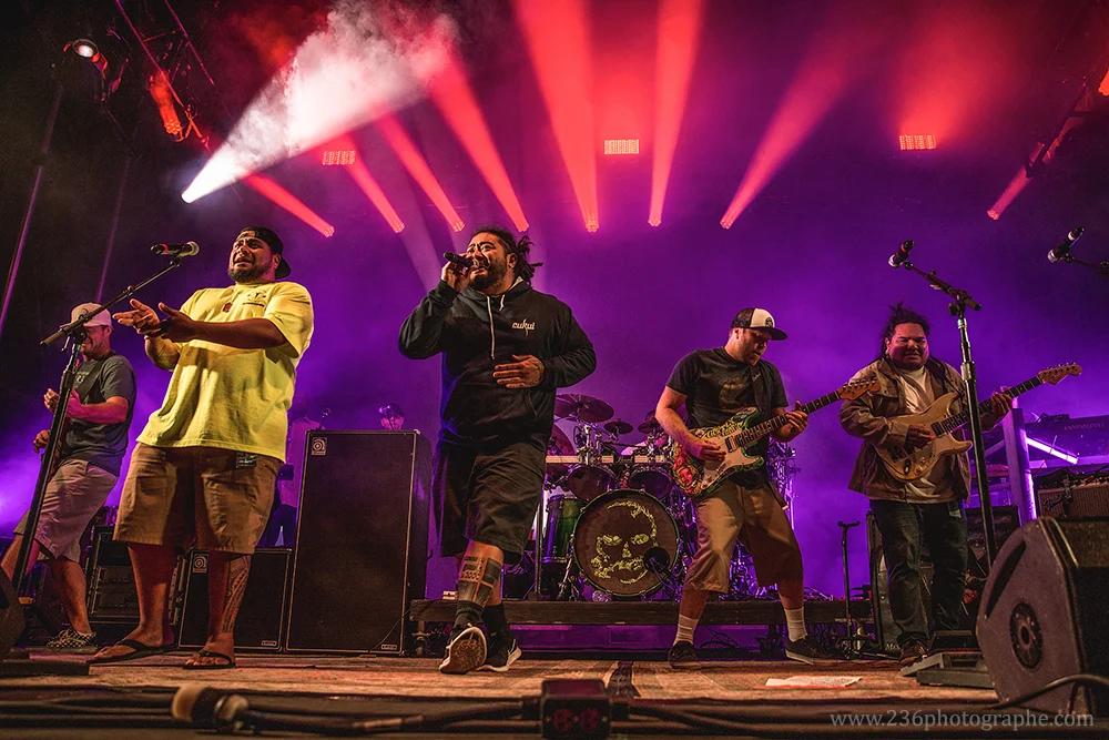 SlightlyStoopid_2017_BenGriewing-7.jpg