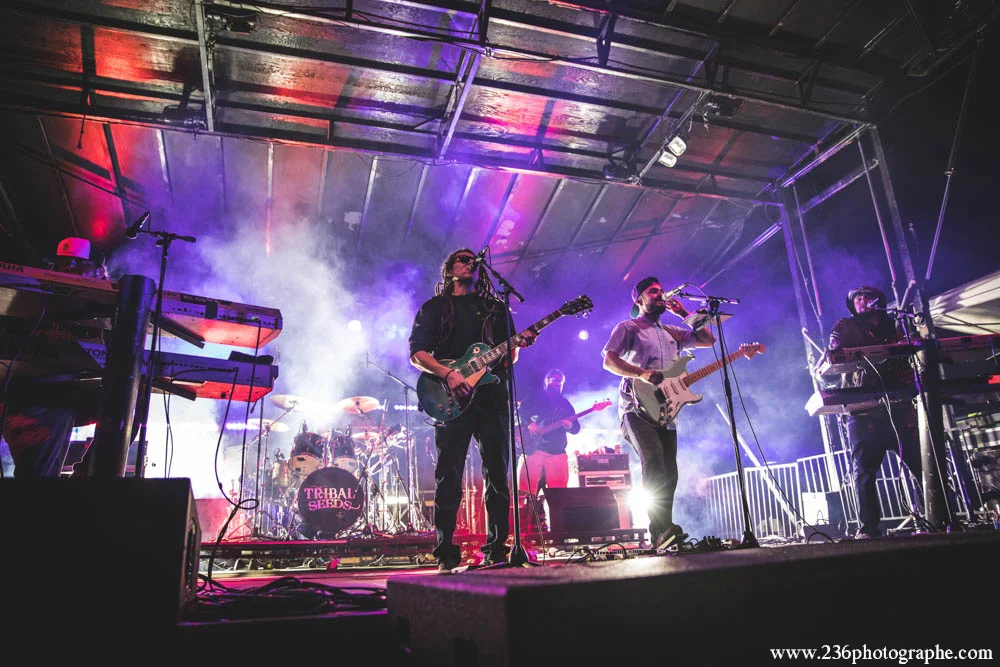 TribalSeeds_2017_BenGriewing-6551.JPG