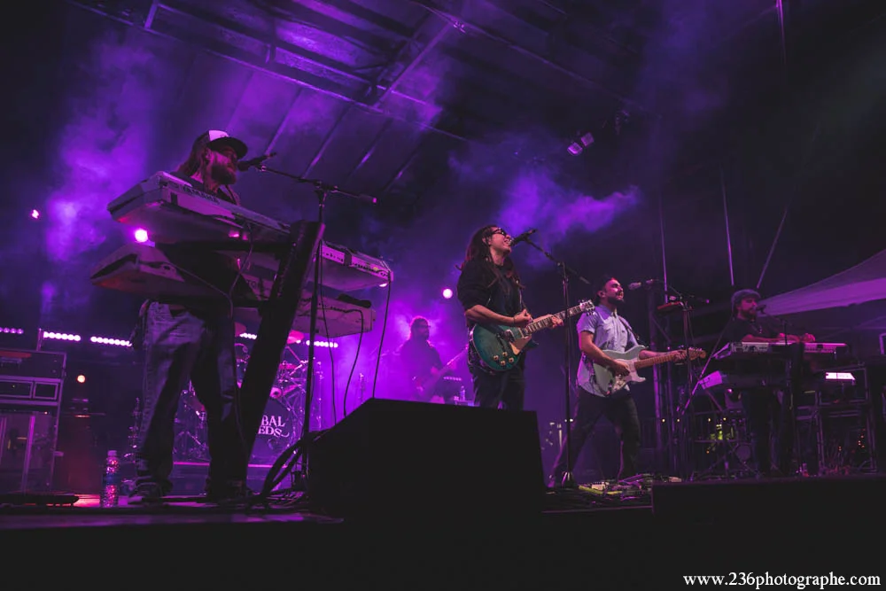 TribalSeeds_2017_BenGriewing-6746.JPG