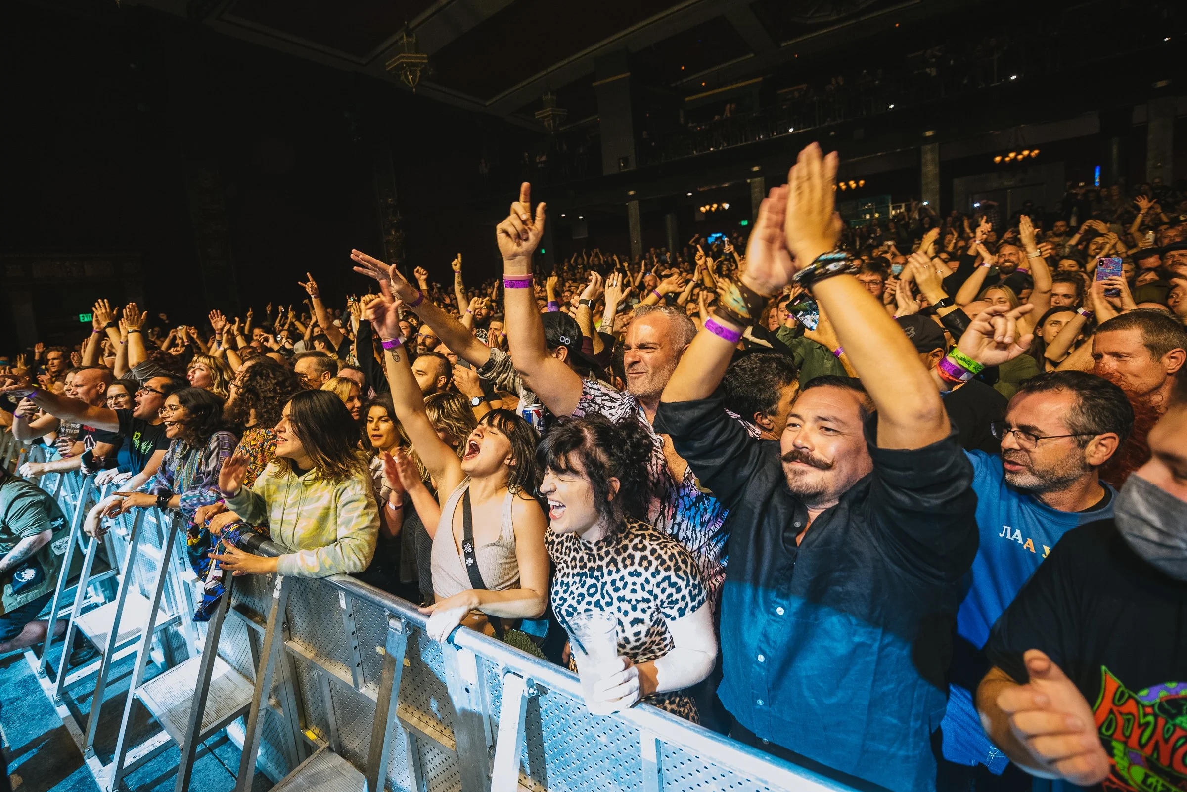 Gogol Bordello — Pit Pass Magazine