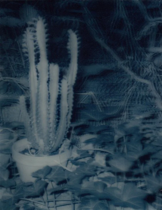 The Art of Escape | Peta Berghofer, Ruby Marshall, Sarah Ryan