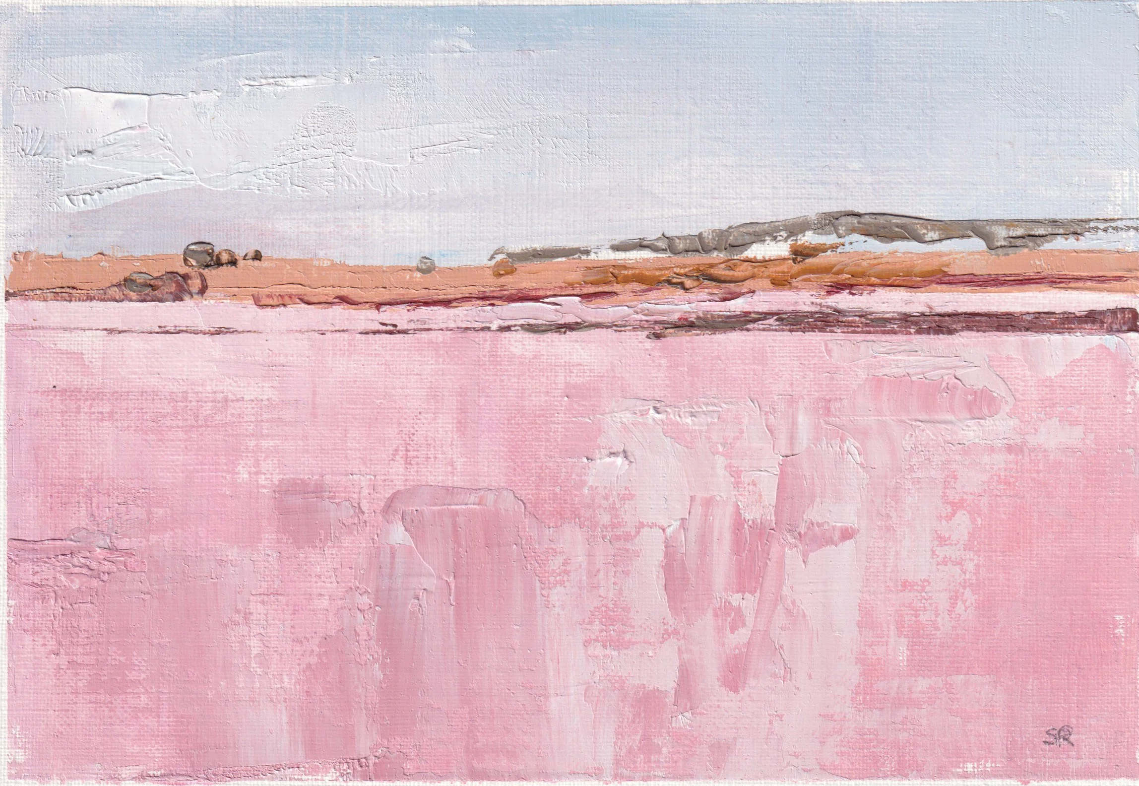 SharonRoberts_Salt Lake - Bumbunga_oil.jpeg