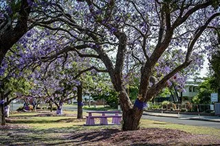 Celebrating the Future – David Martinelli