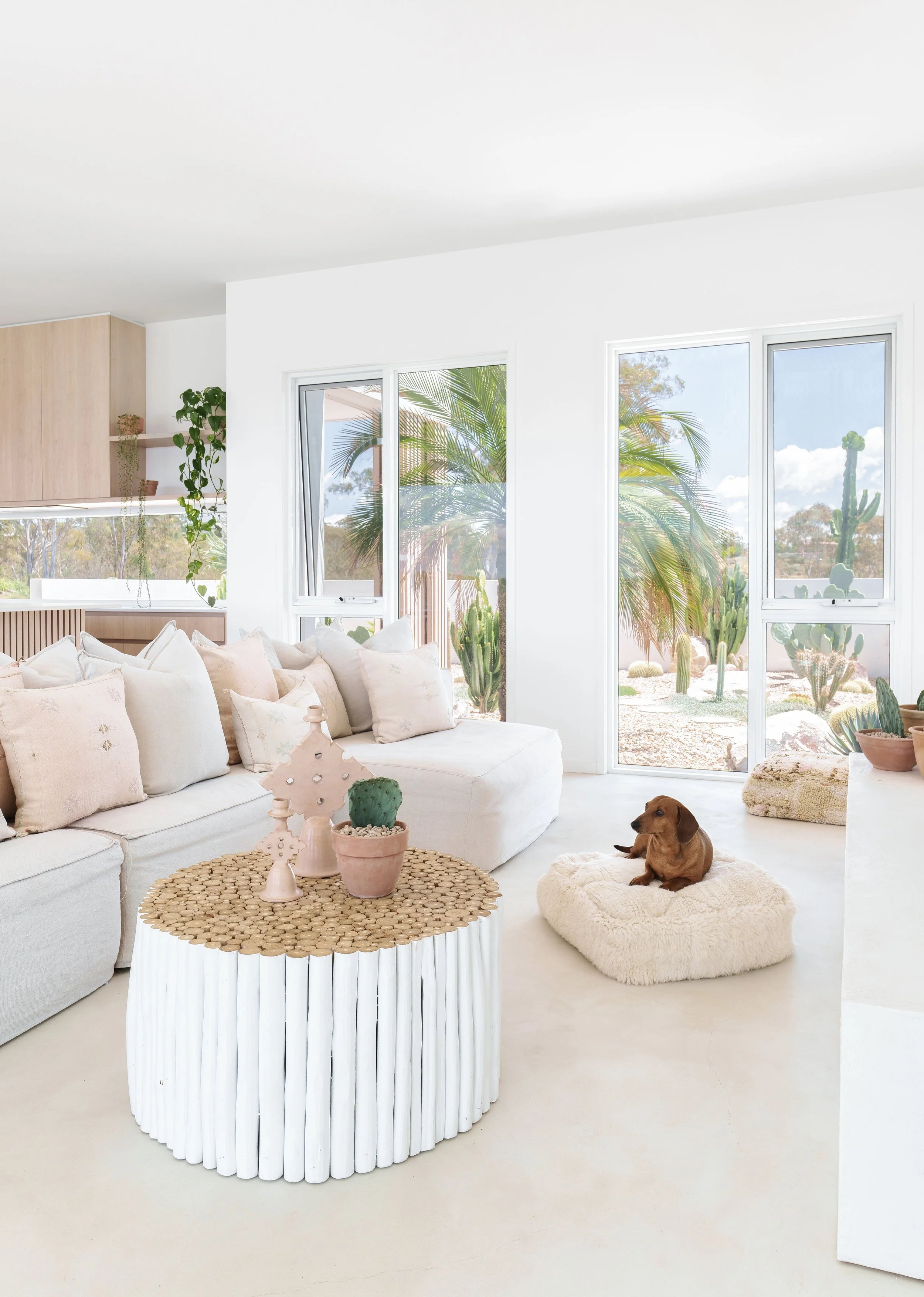 DSC04521-Edit copy.jpg