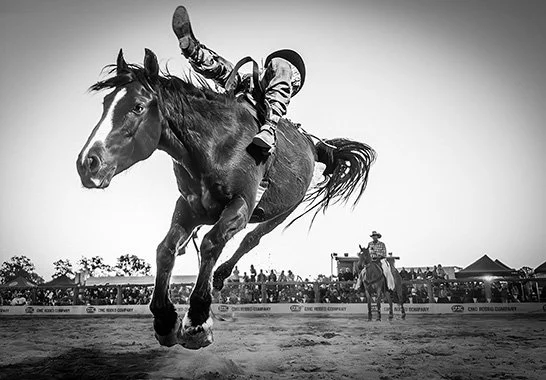 Chequered History – Toowoomba Photographic Society
