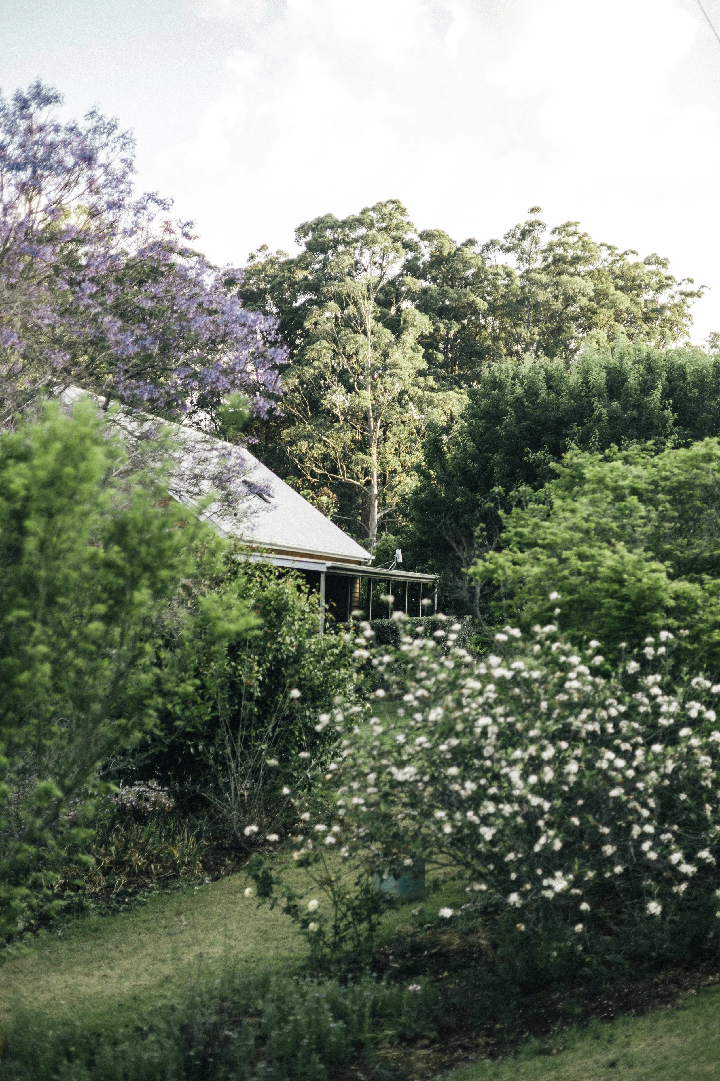 EOSR7462.jpg