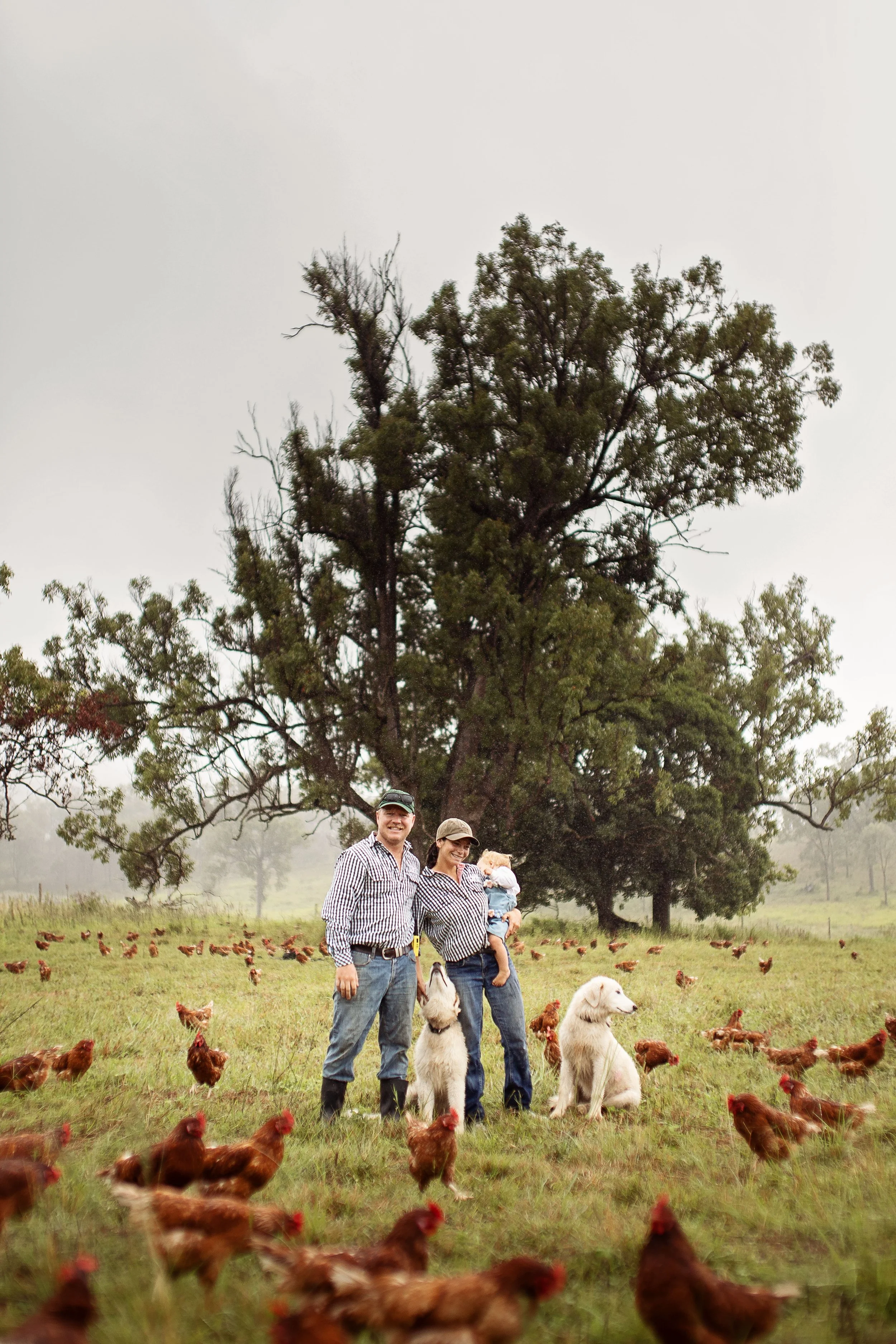 Meet the Locals. . . The Good Dozen