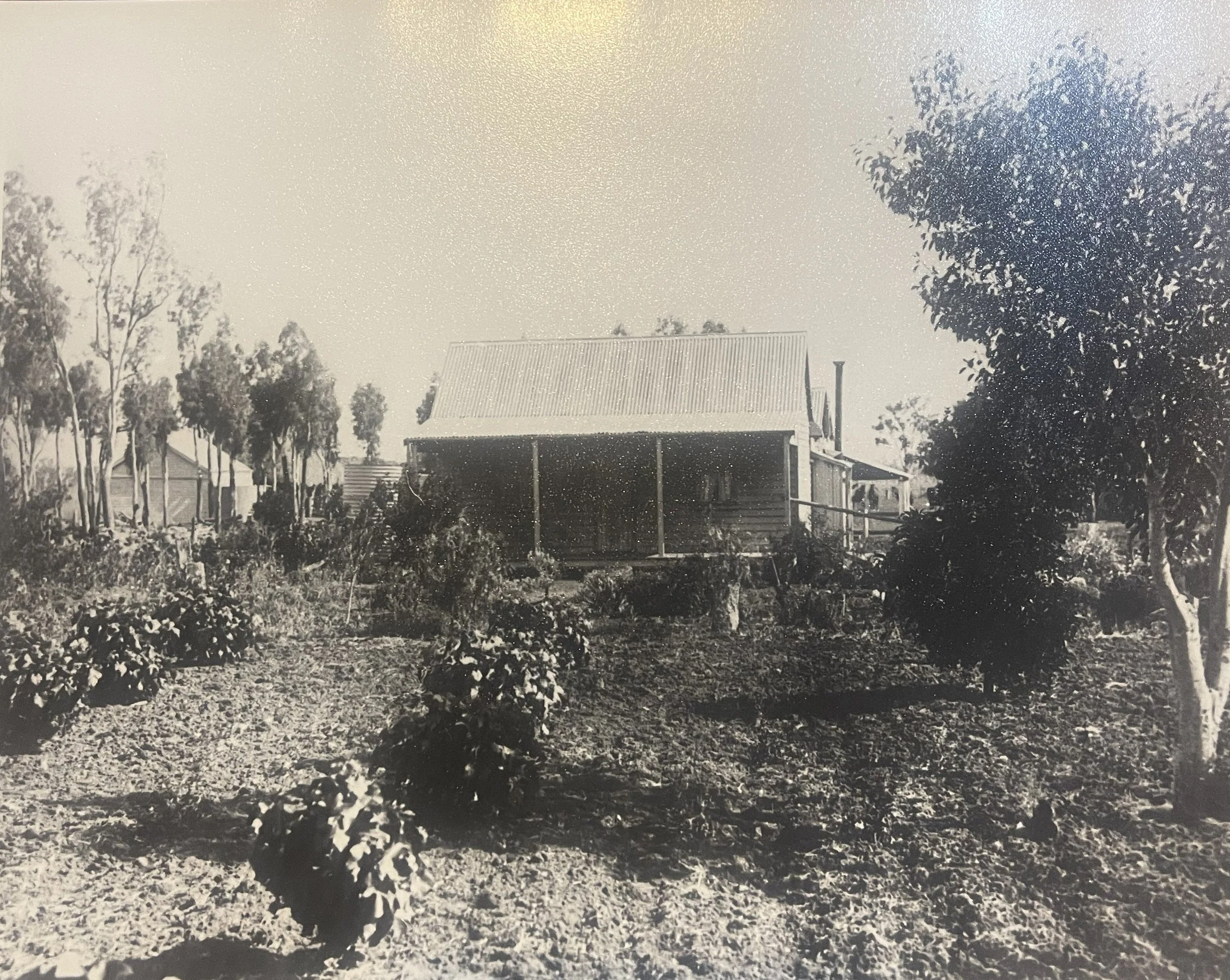   Public Schoolyard near Pittsworth, c.1900. From the Joppich (Kirby) Family Collection.  