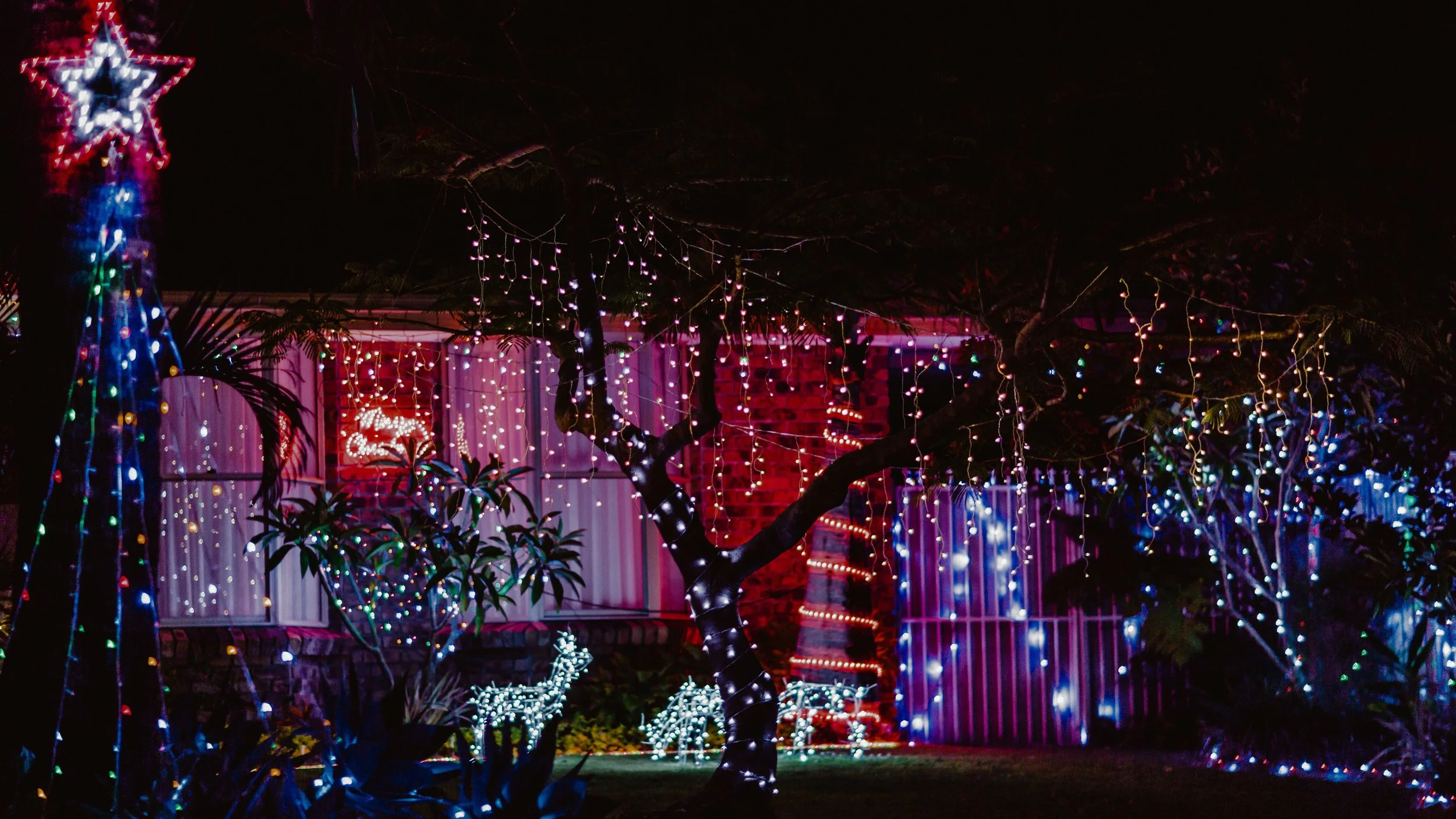 Neighbourhood Christmas Light Guide — The Field Guide