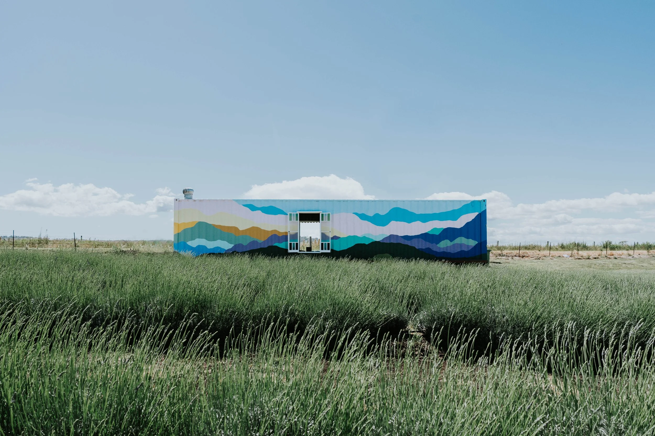 DSC07234-Edit - Copy.jpg