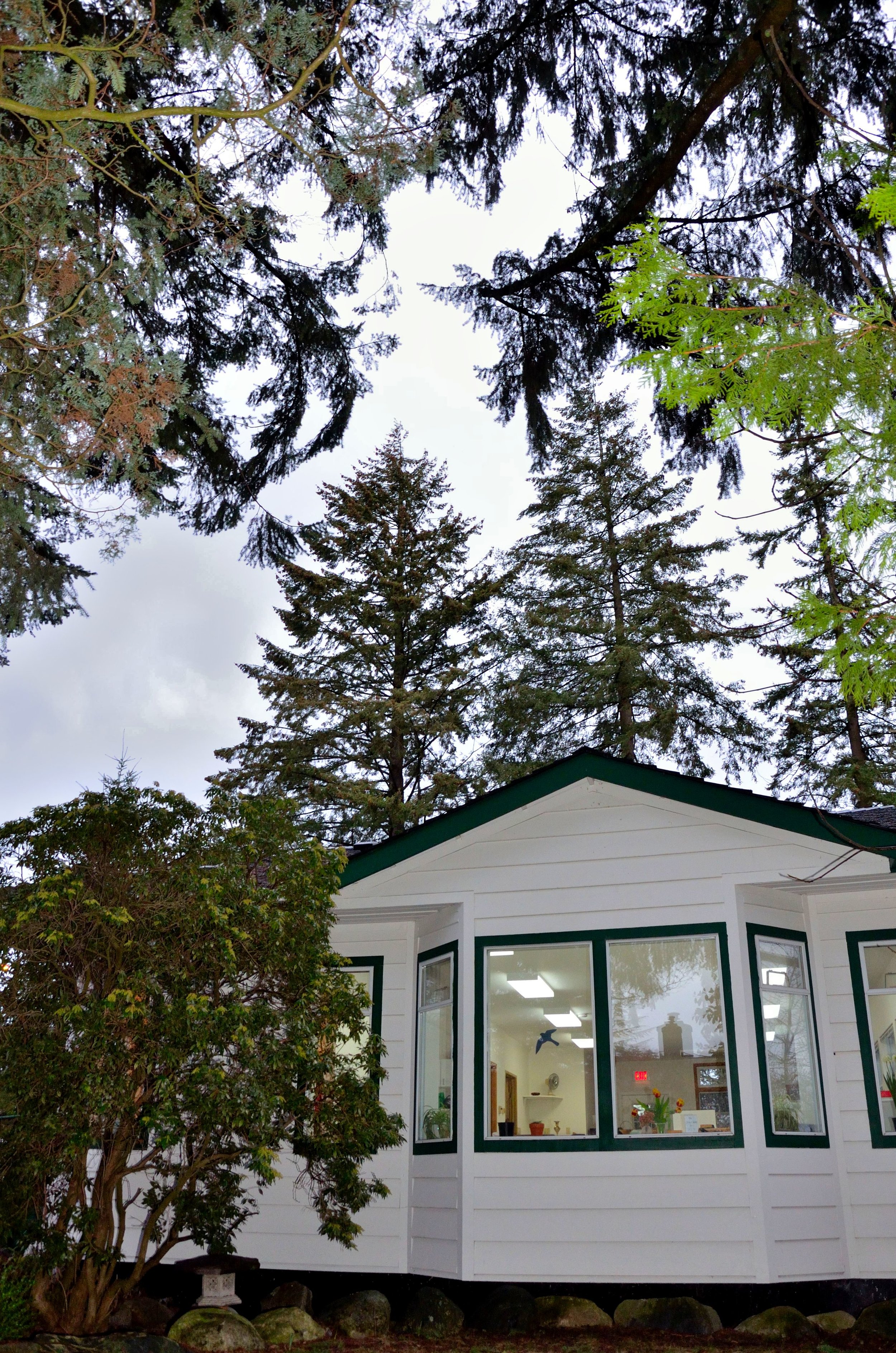 Located in a grove of mature Douglas Firs.