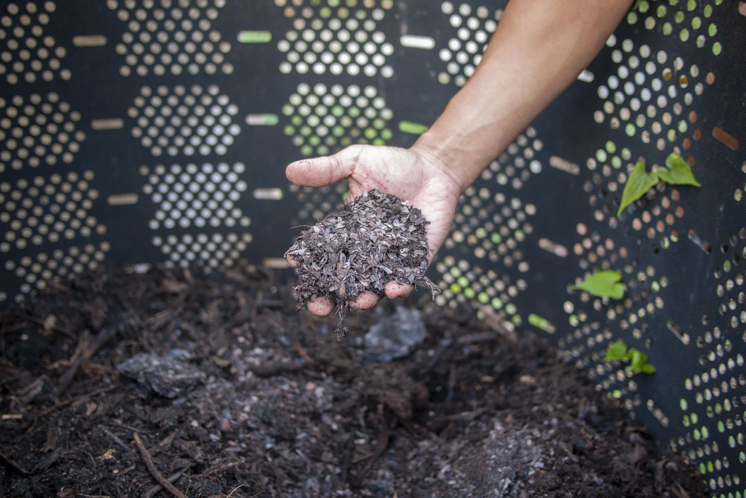 SUSTAINABILITY — Fossa Chocolate