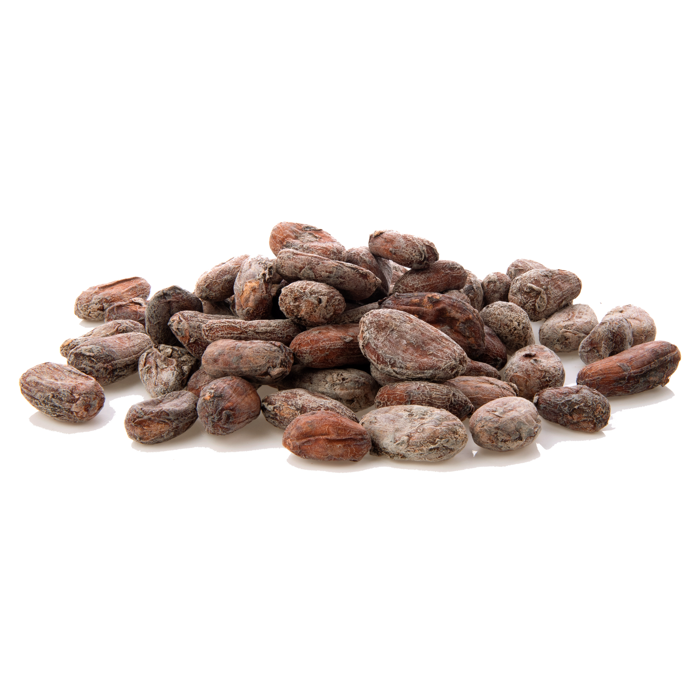 cocoa-beans-isolated.png