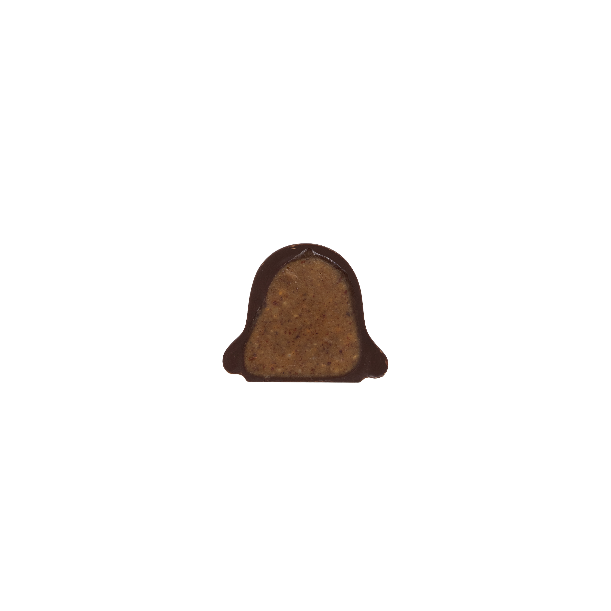 DSC05074.png
