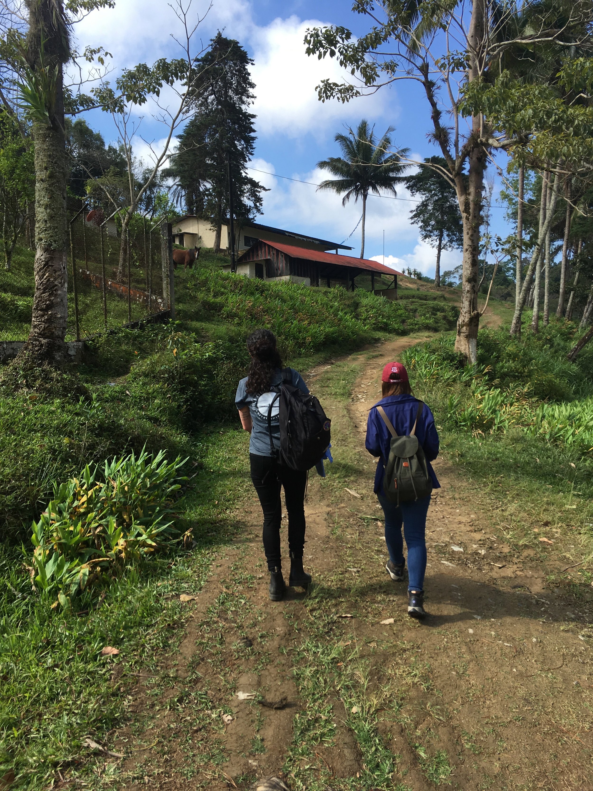 Heading to Escuela Privada Finca Carrizal with Katia.