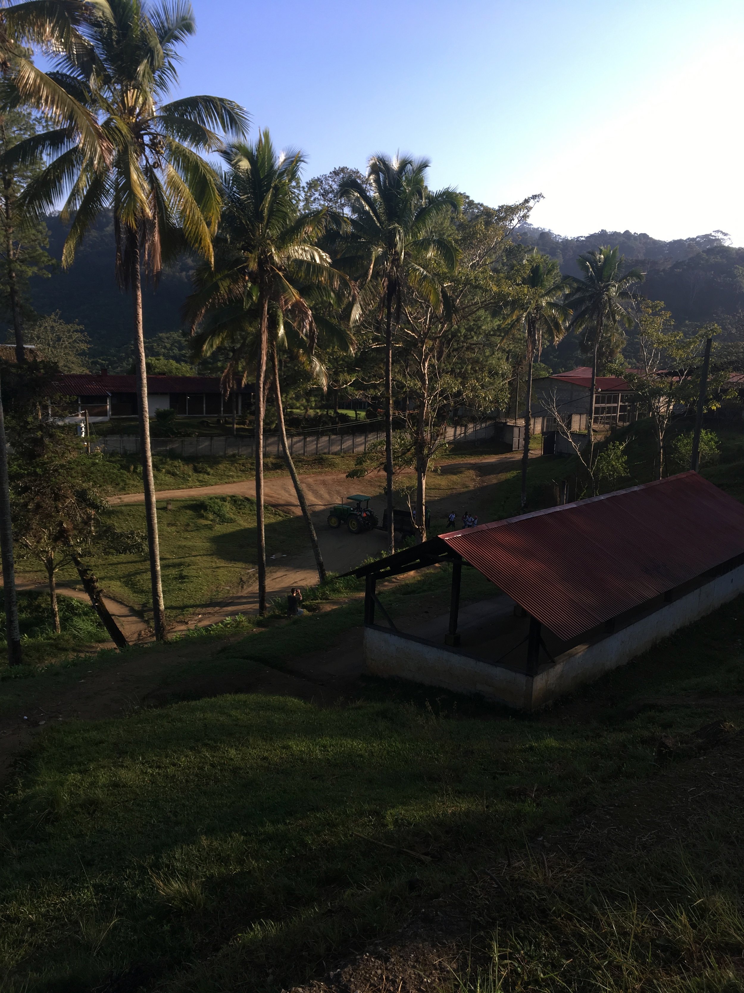 The view from Finca Carrizal.