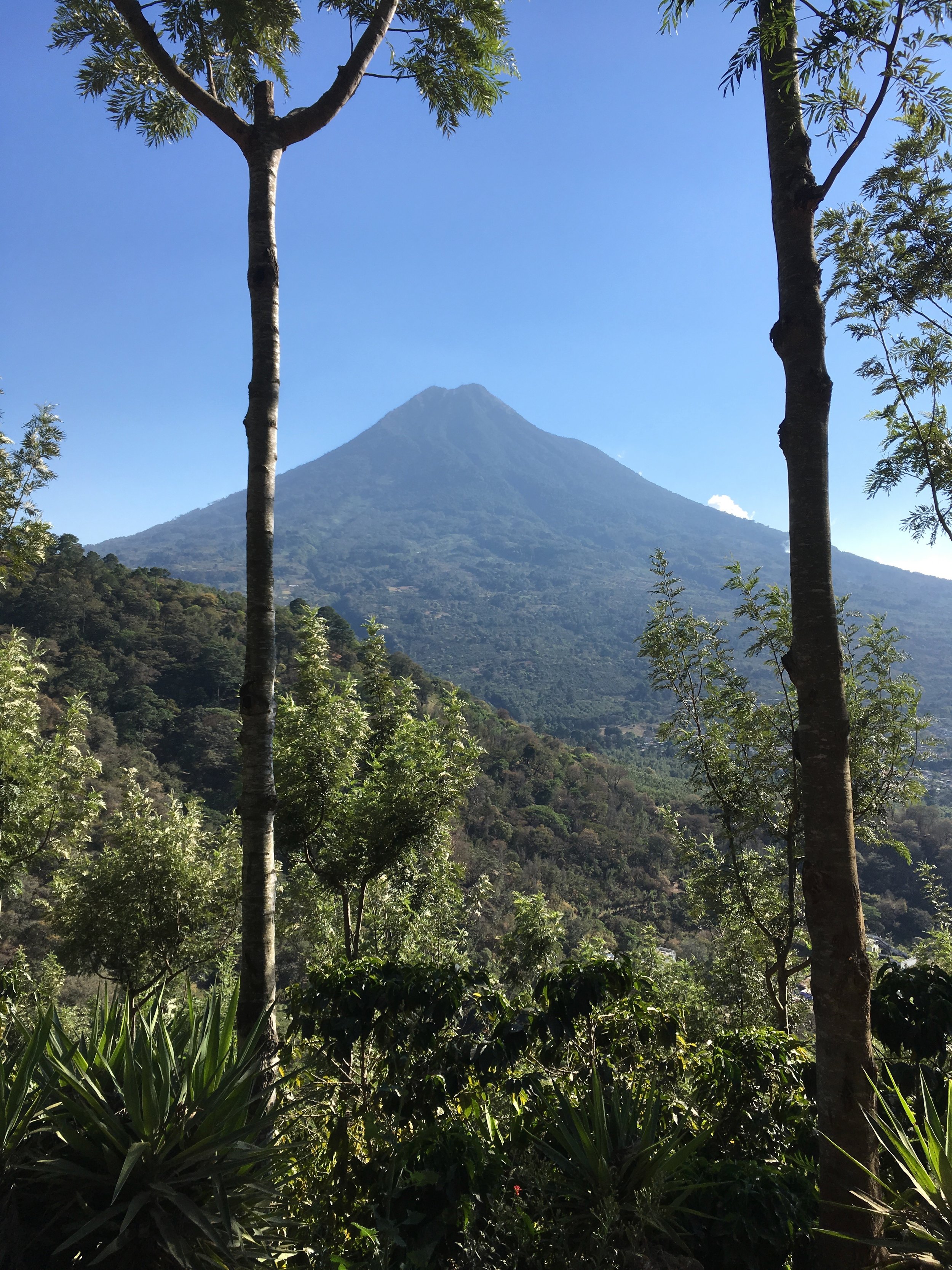 Volcán de Agua from Finca Santa Clara.