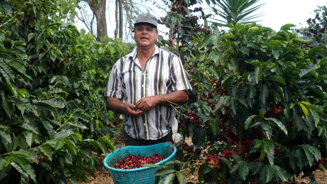 costaricafincadanilosalazarblackhoney1-1080x608.jpg