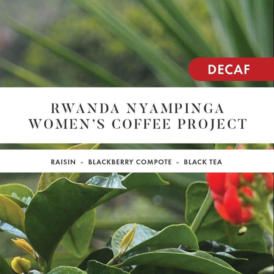 New Swiss Water Decaf on the menu!

&ldquo;Nyampinga&rdquo; means &ldquo;beautiful women, both inside and out.&rdquo;

This caffeine-free sip is an excellent foil to our longstanding decaf offering. Embodying all that you know and love of coffees fro