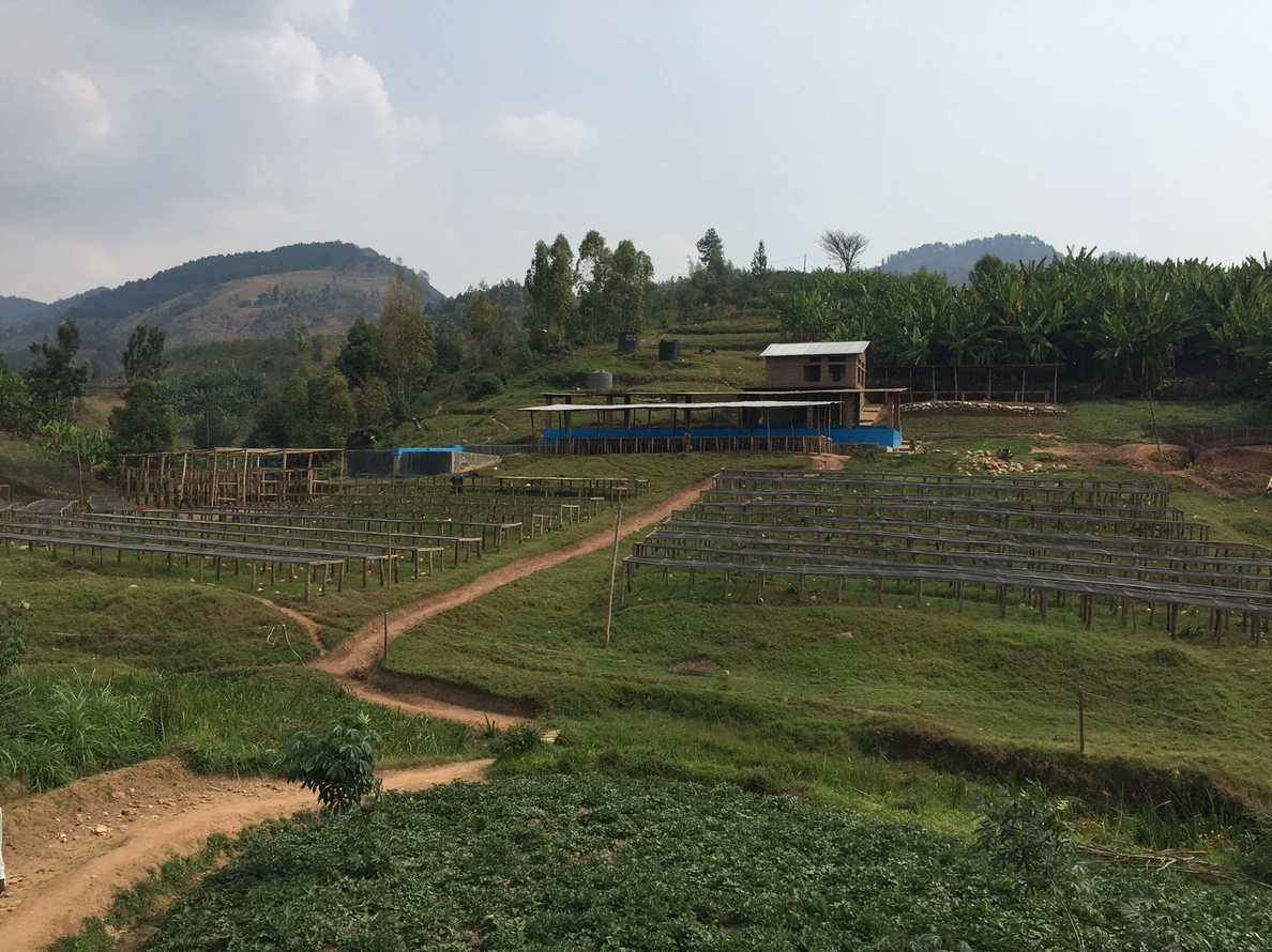 rwandakivubelt4.png