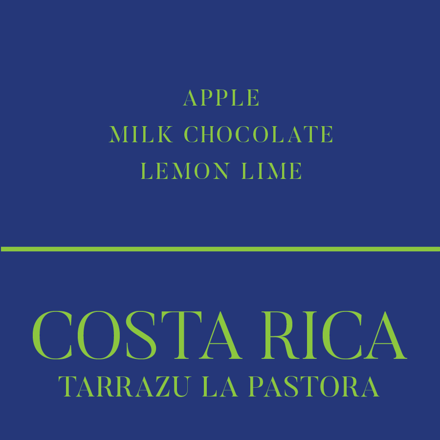 Costa Rica Tarrazu La Pastora