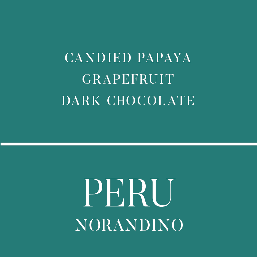 perunorandino.png