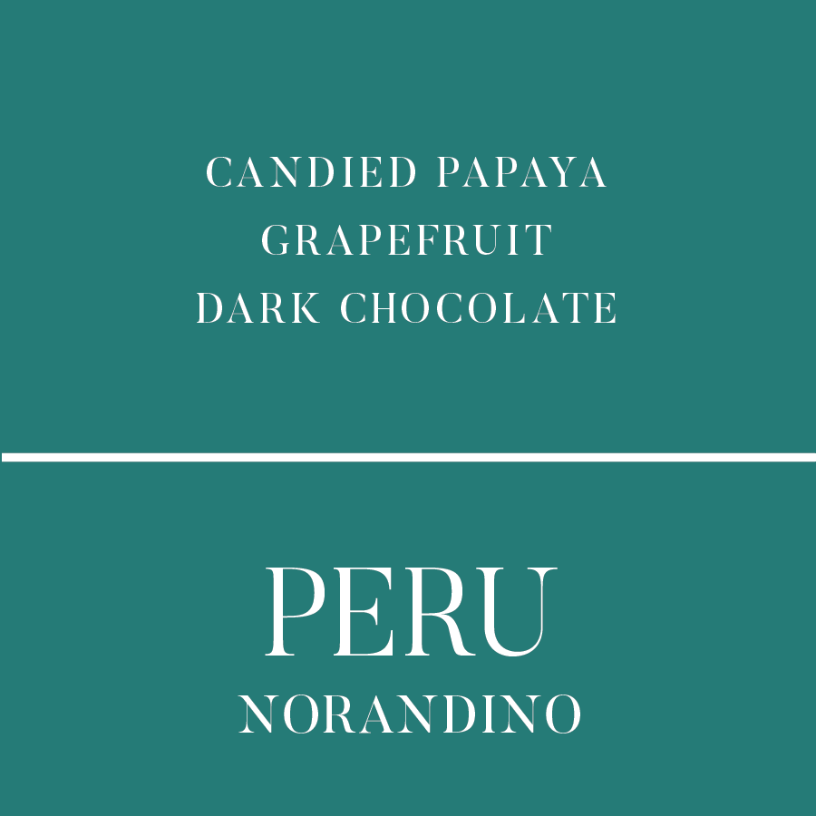 Foglifter Coffee Roasters Peru Norandino