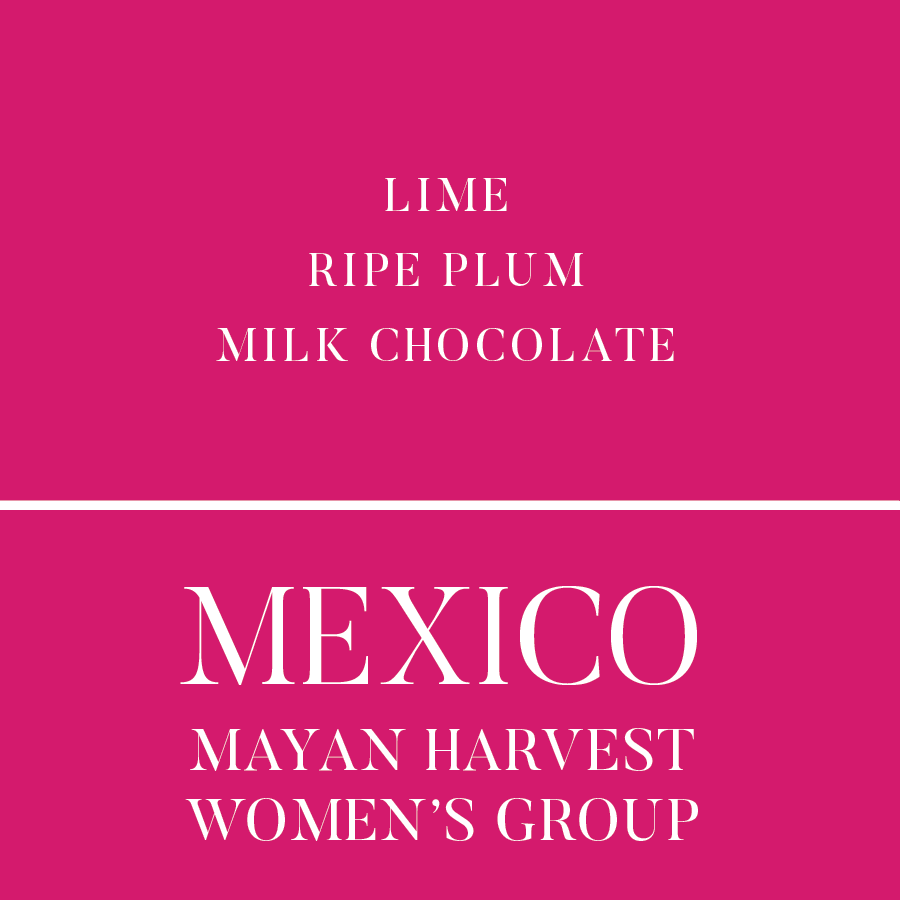 mayan-2026.png