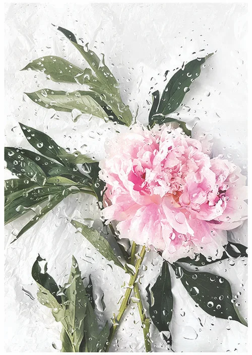 jenandjennifer_londonpeony_poster.jpg