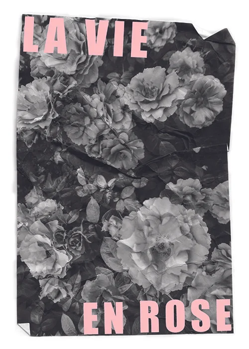 LA VIE EN ROSE - THE INSPIRATION BEHIND THE ART