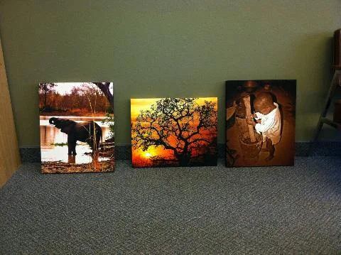 Photos by Amanda Farmer