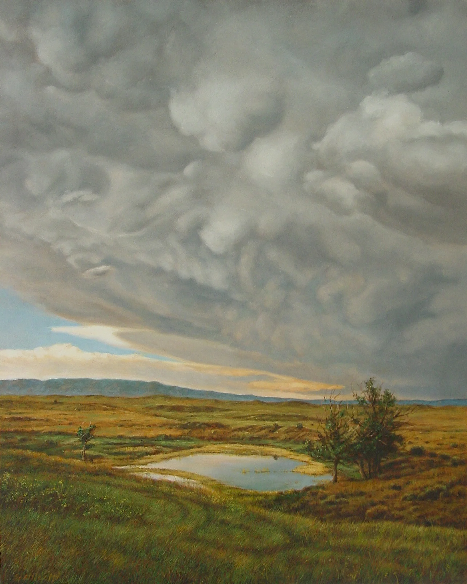 SHARON ALLICOTTI is an esteemed artist who lives and works in Los Angeles. After retiring from launching the Laguna College of Art & Design's MFA program, she works in her studio nonstop while also mentoring grad students to pass on the guardianship her teacher's passed on to her through carrying on the endless continuum of the contemporary canon of art. Above: " Pond, Wyoming Storm " 20" x 16" Oil on Canvas (Bees love the clover fields she captured in this landscape!)