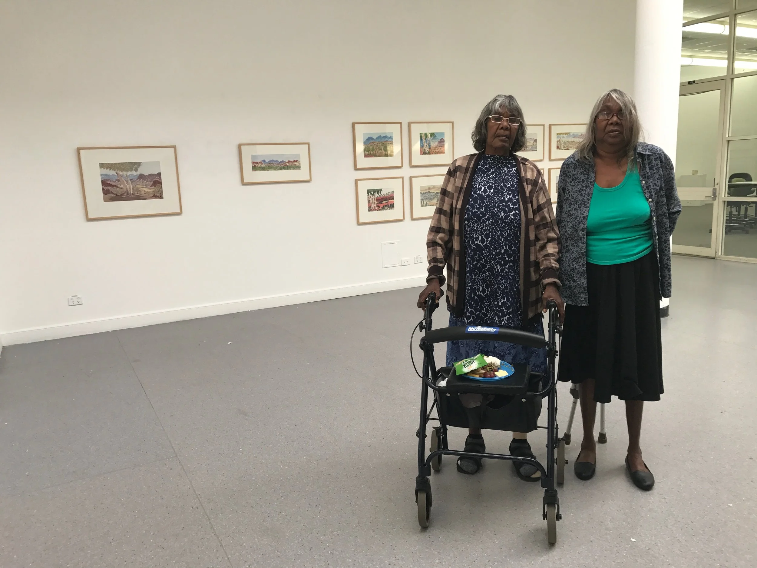 Namatjira Artists: Canberra Exhibition March 2017