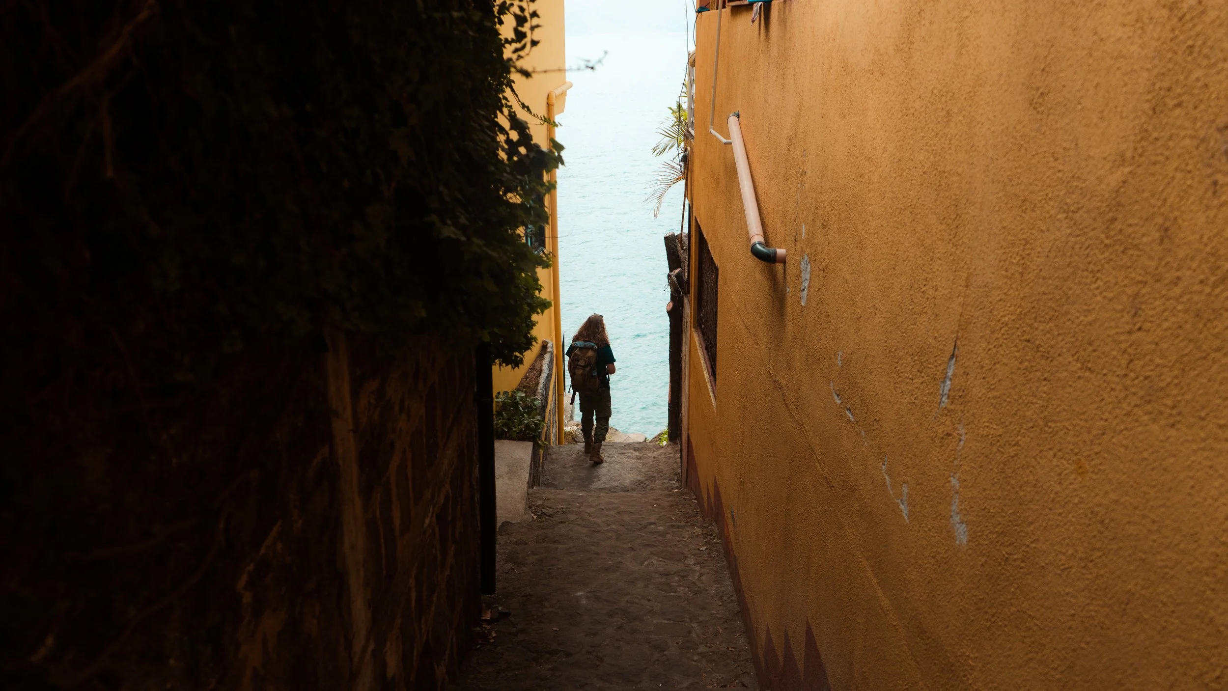 Photos - Christian Roper