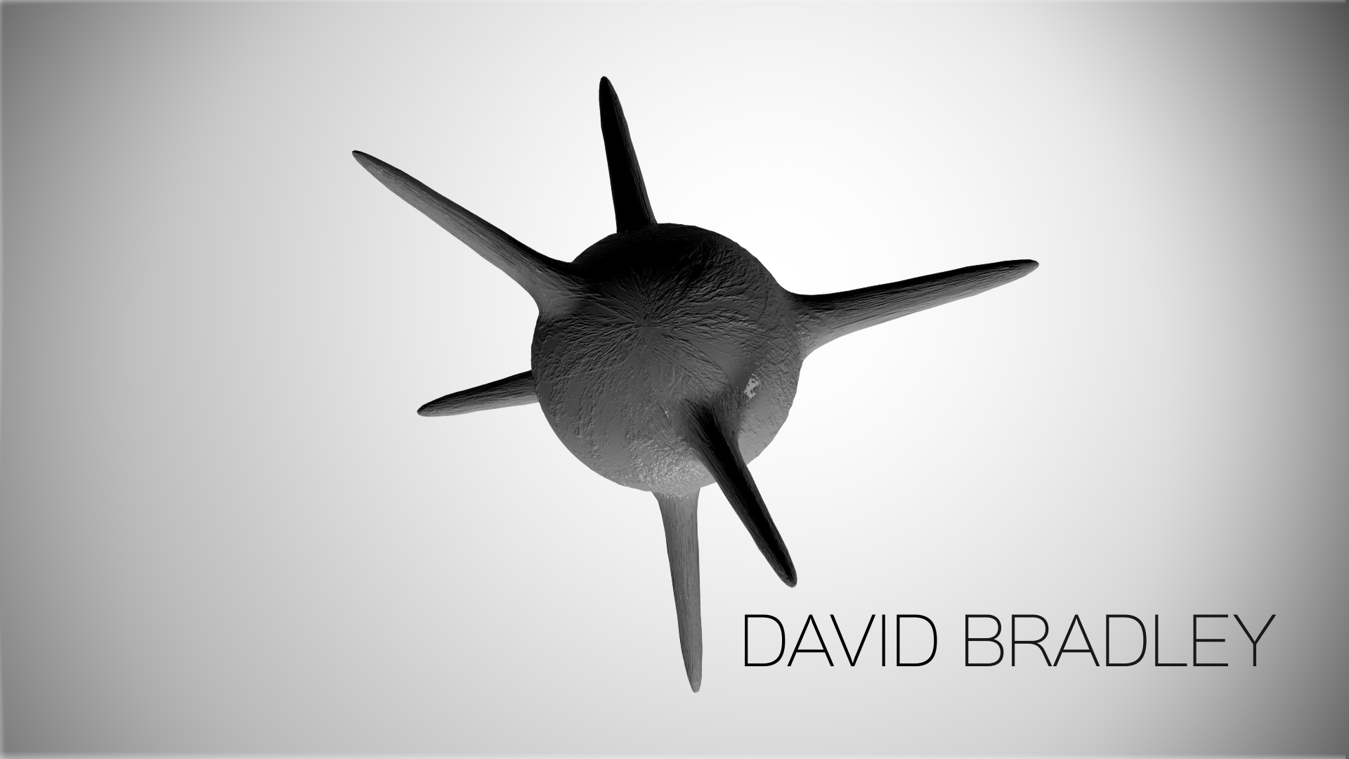David Bradley2.png
