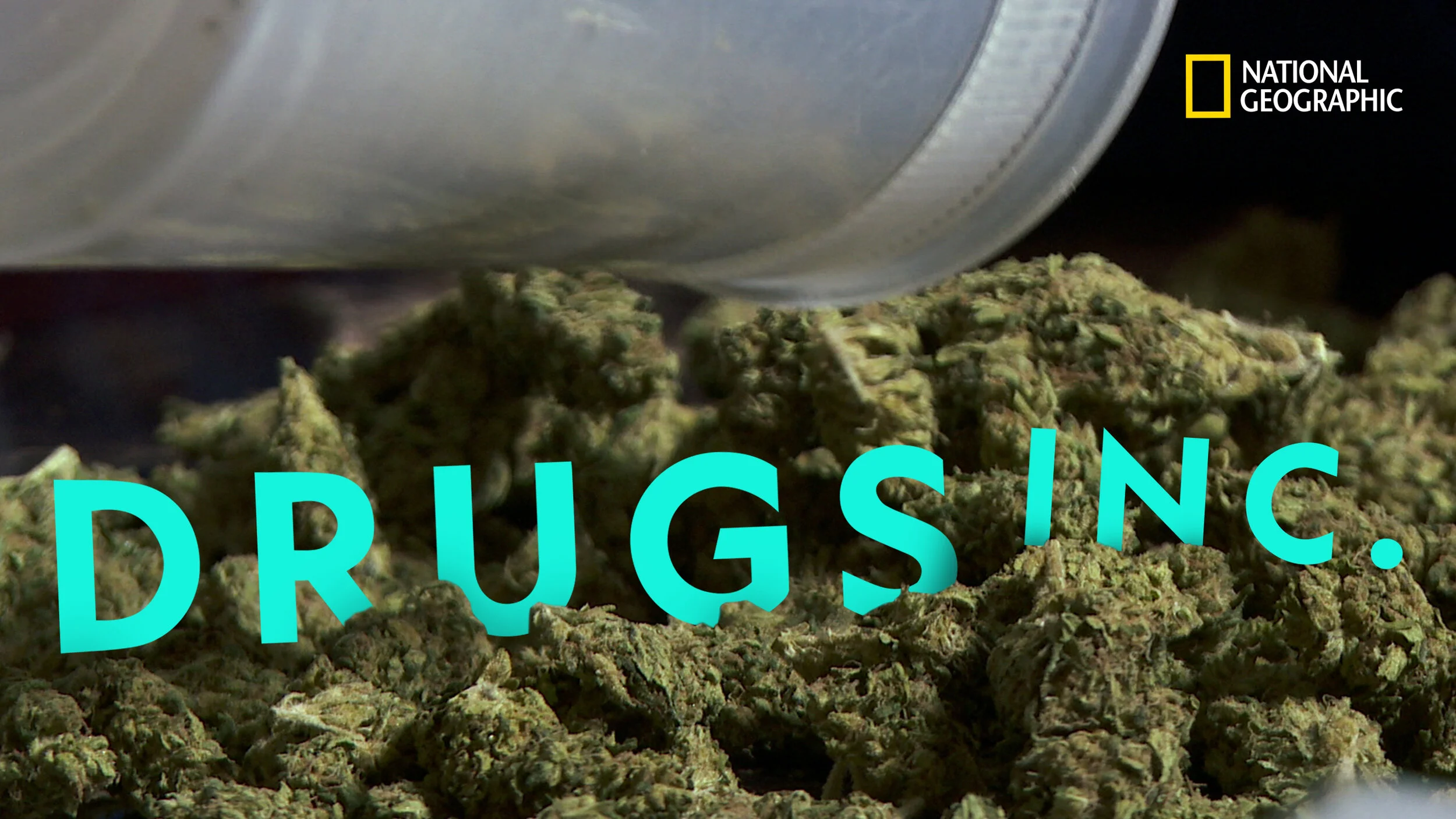 Drugs-Inc_01.jpg