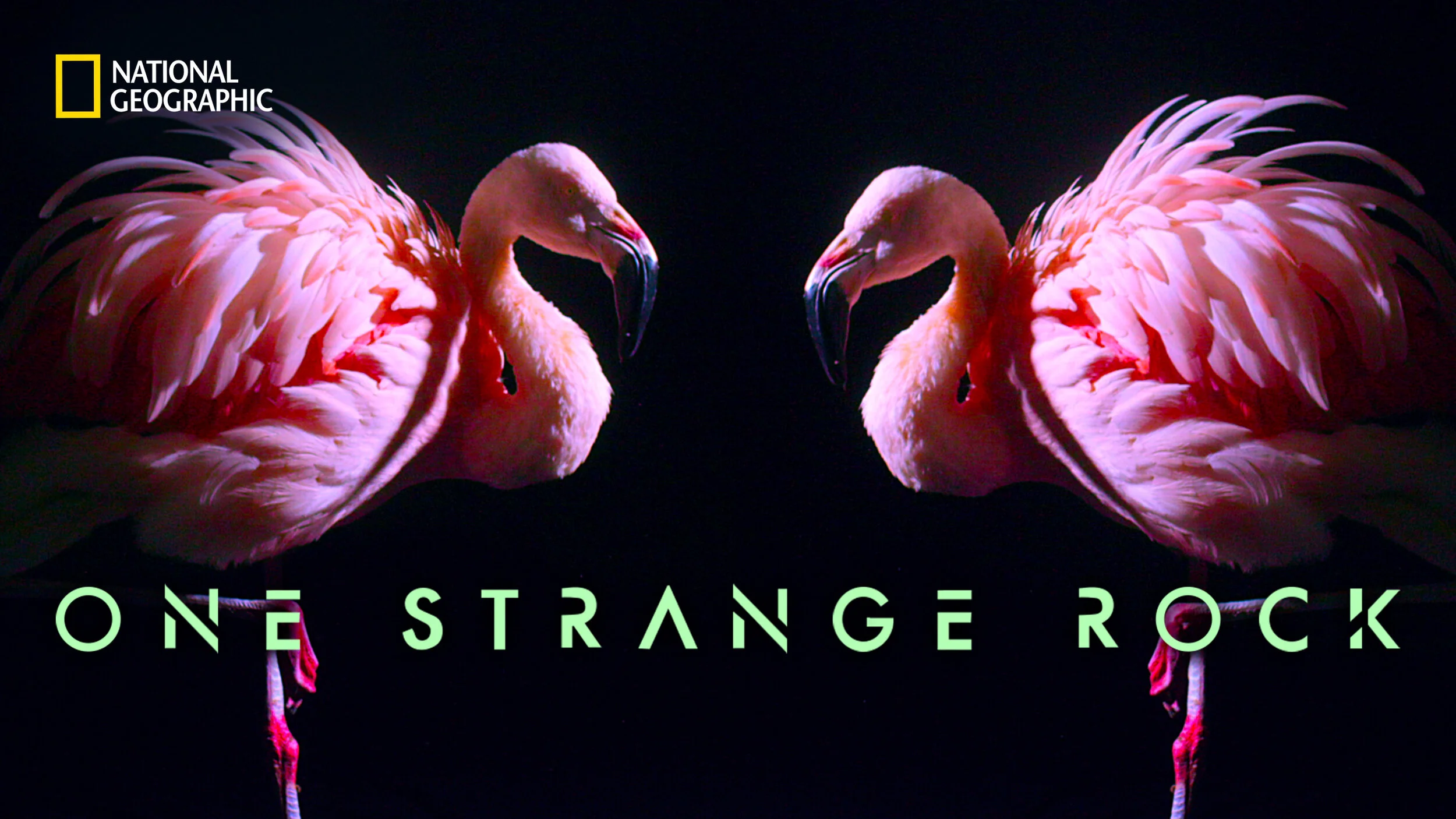 One-Strange-Rock_03.jpg