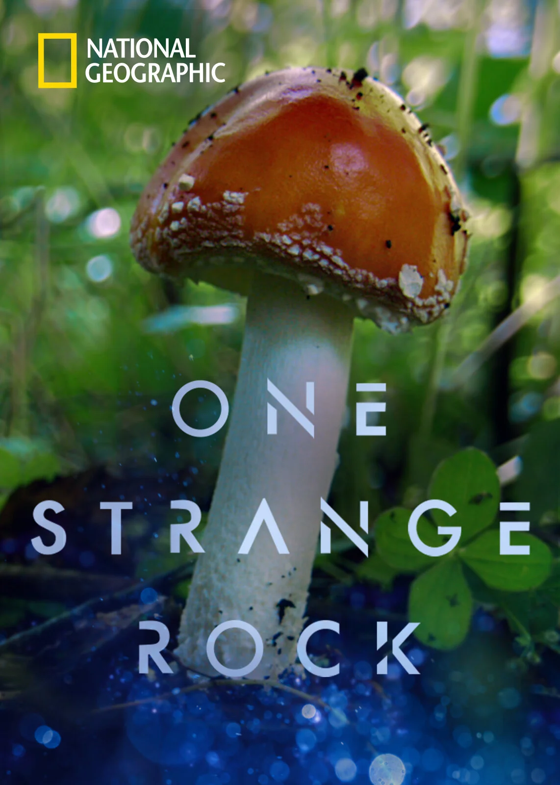 One-Strange-Rock_06.jpg