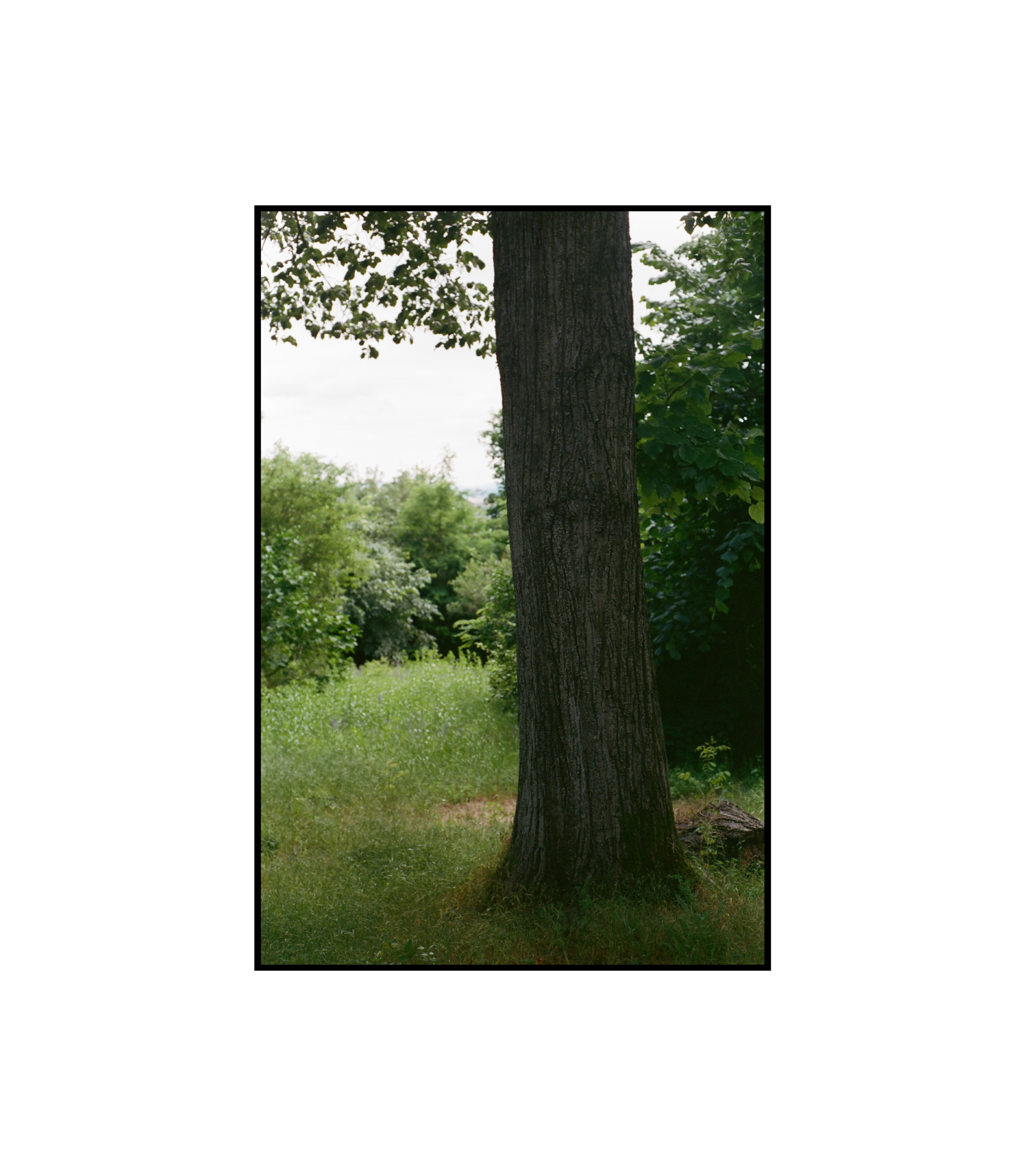 Asset 67.png