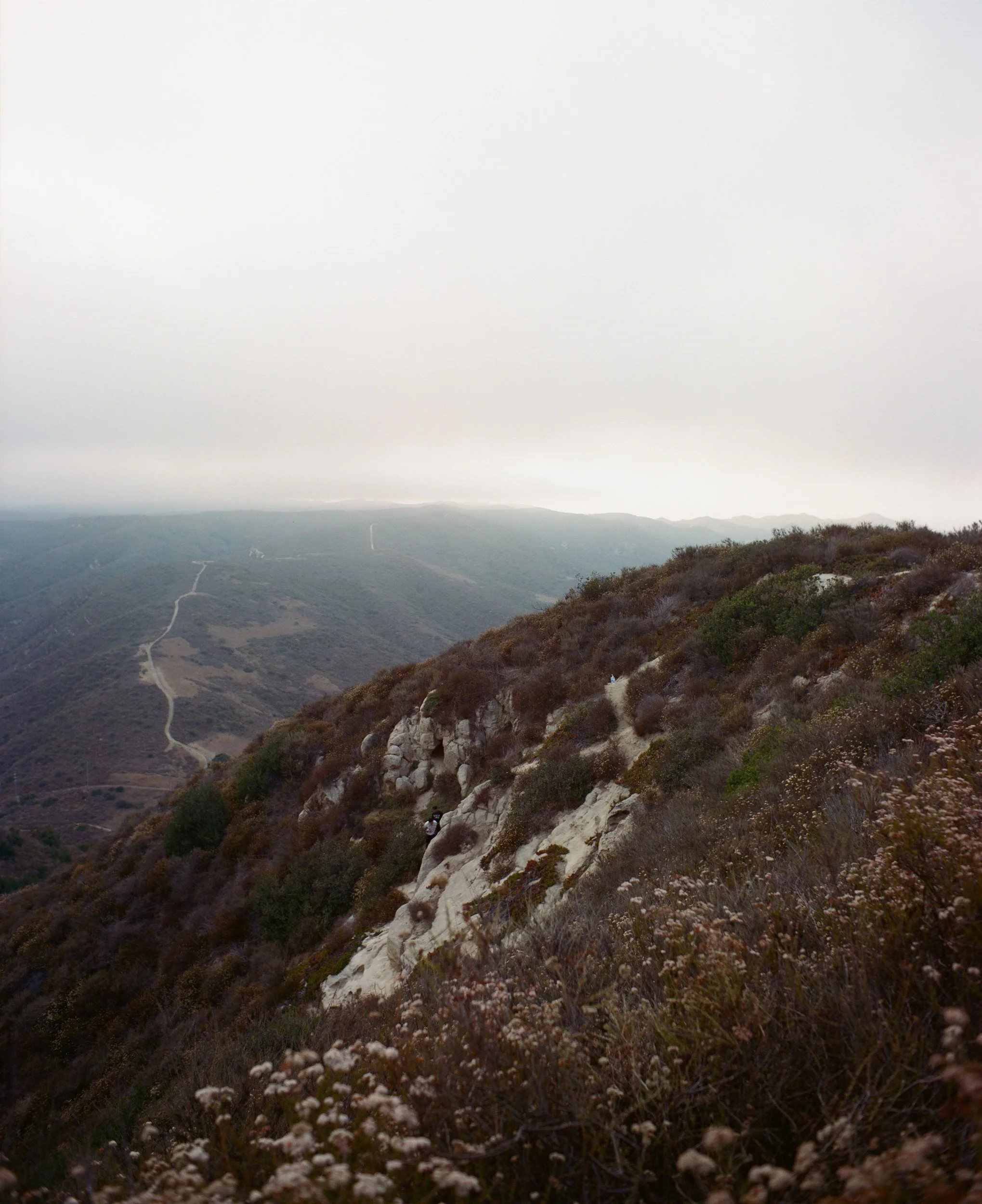 IMG_6007.jpeg
