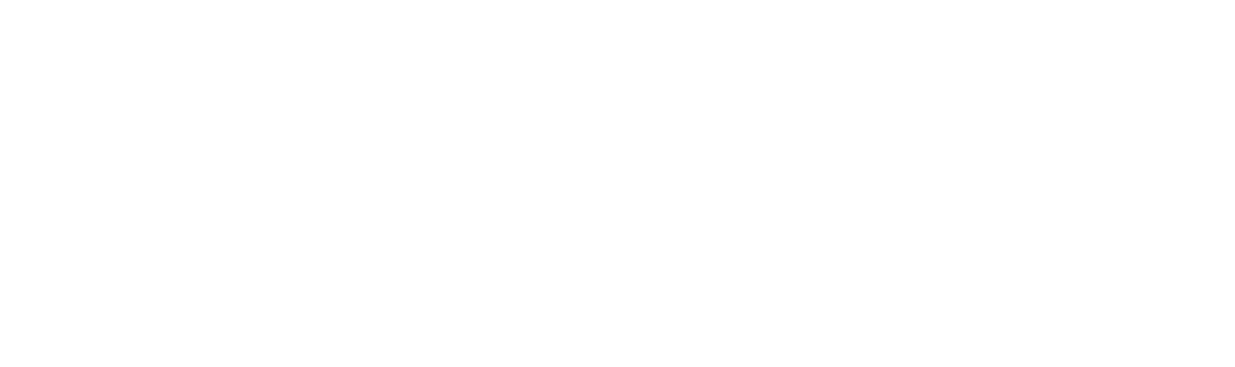 KONKA-LOGOTYPE-WHITE3000 px.png