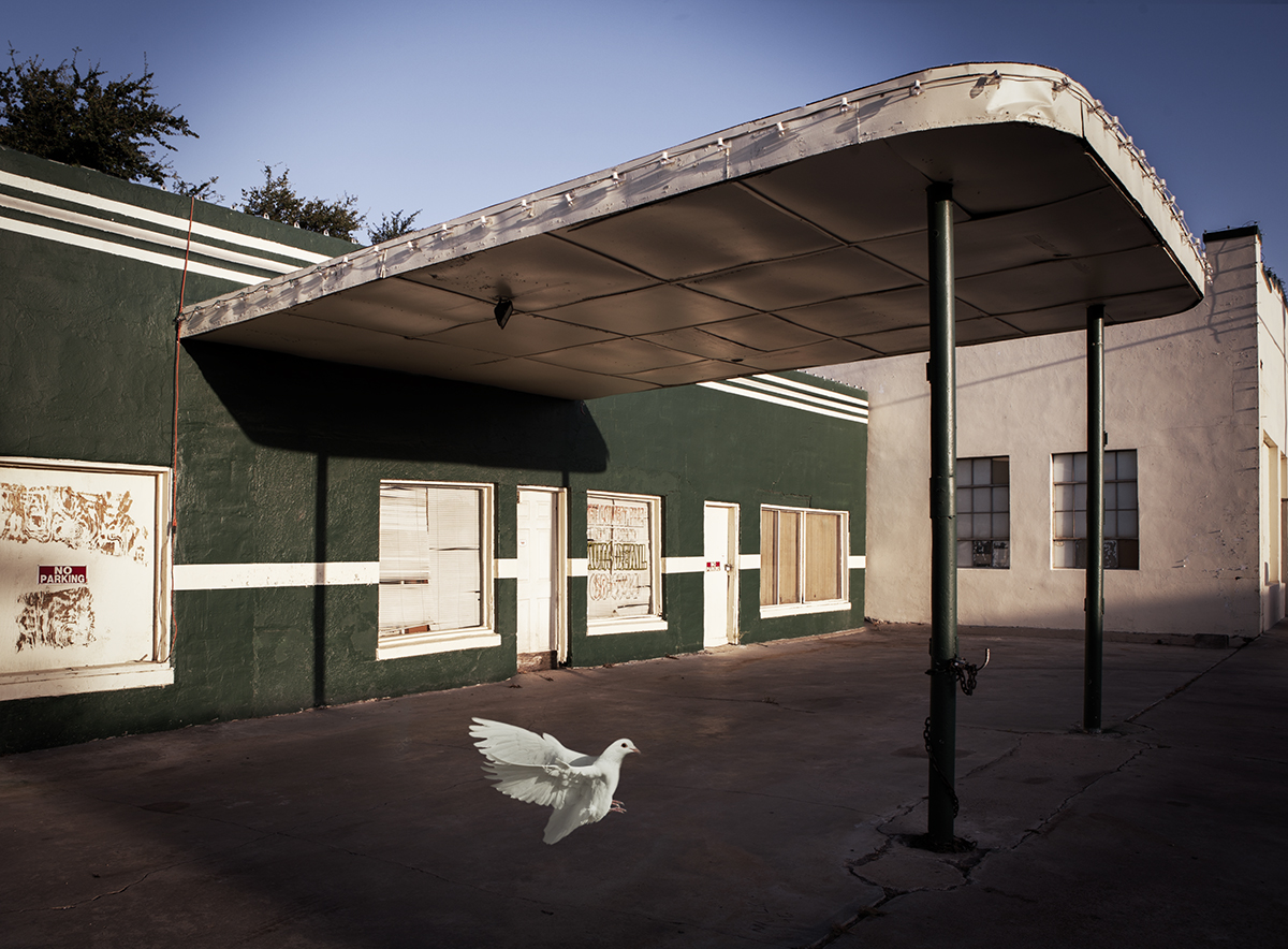 Dove