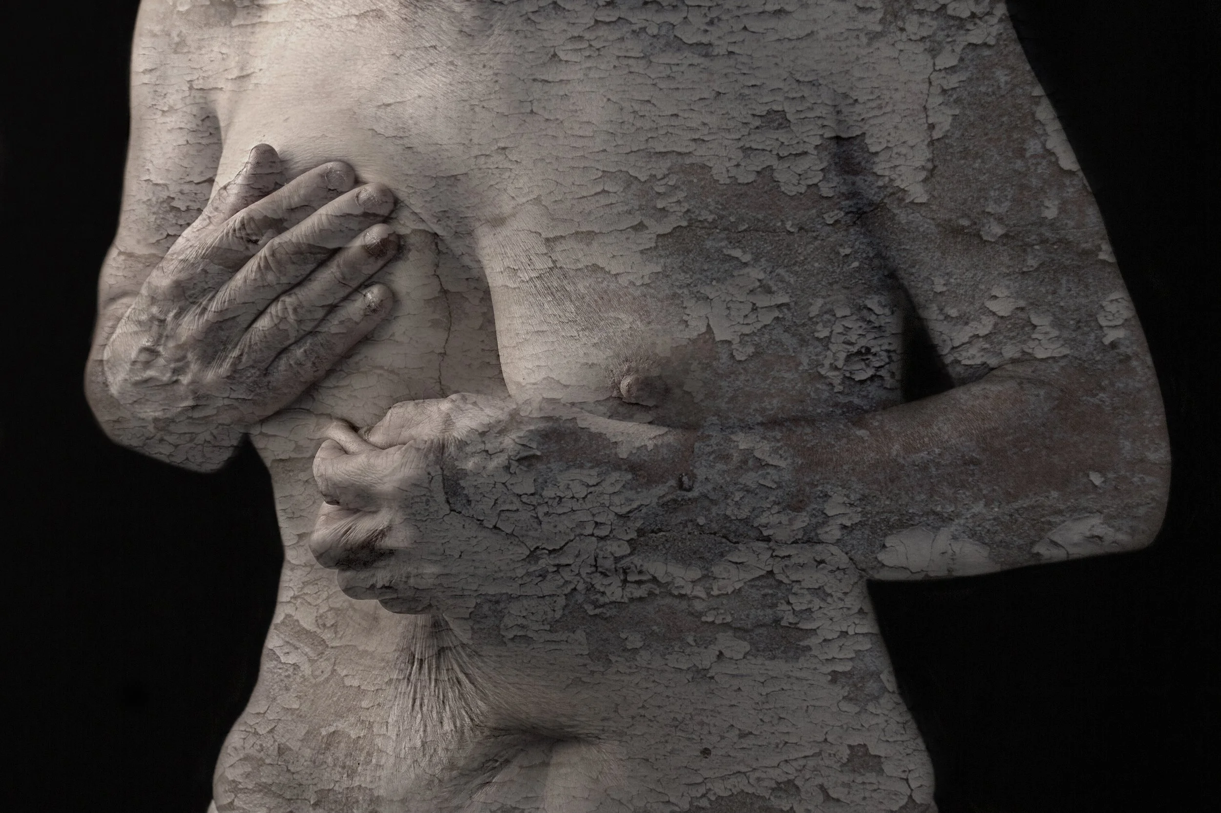 CU5A2411_FINAL copy.jpg