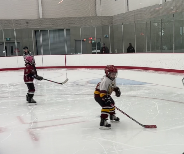 ANGELS vs WILDCATS